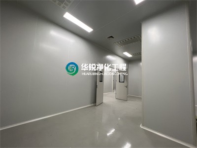 凈化工程中的特點？